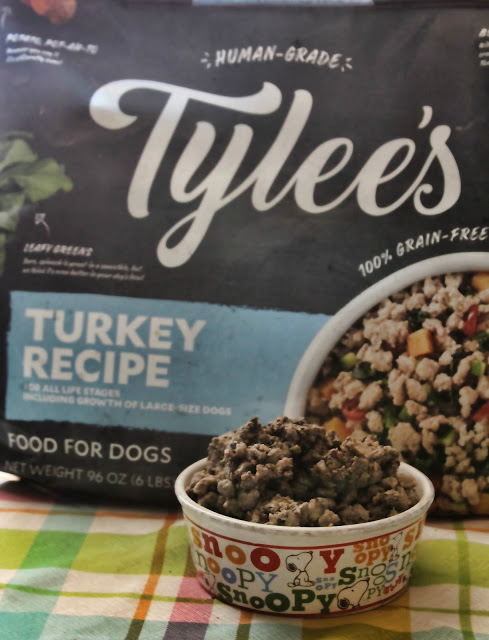 A bowl of dog food in the foreground with a blurred Tylee's Turkey Recipe dog food bag behind it.